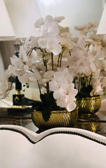 Golden Check pot white Orchids