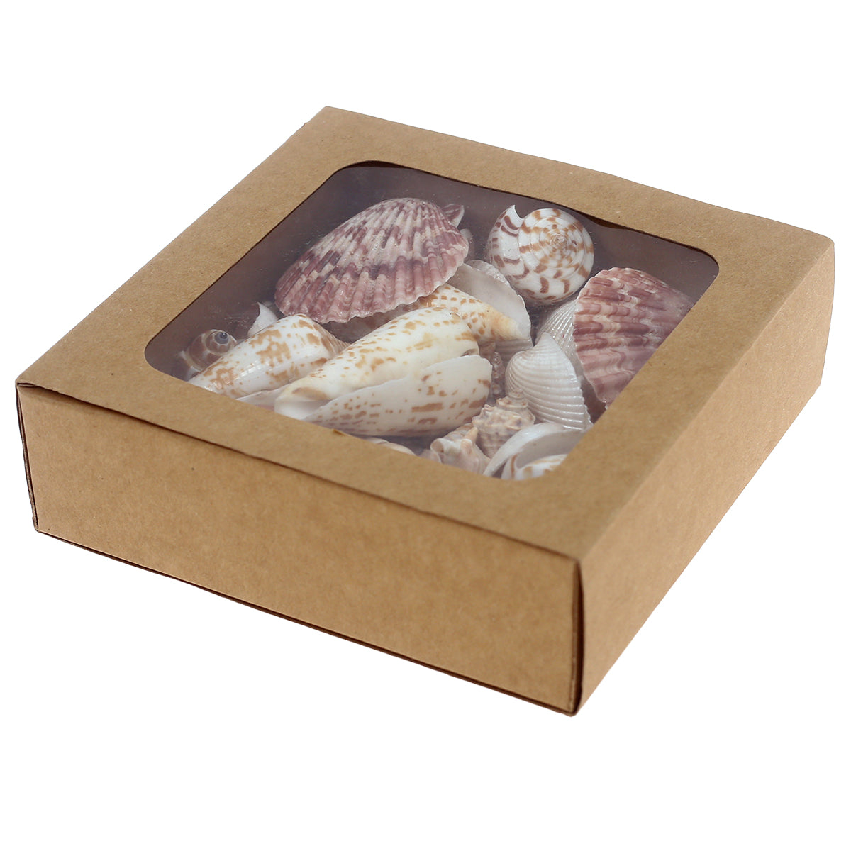 Sea Shells 350G