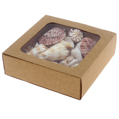 Sea Shells 350G