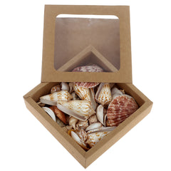 Sea Shells 350G