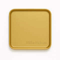 Gold Finish Stainless Steel Barbecue & Flat Plates – Multiple Sizes for Serving Snacks, BBQ & Meals