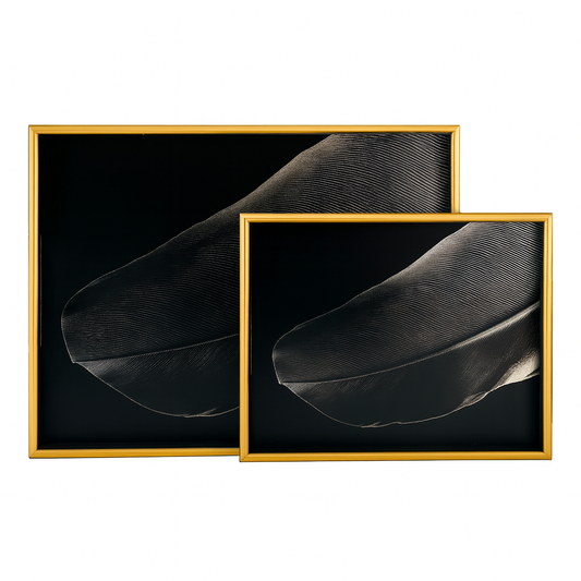 2 Pcs Glass Tray Set – Black Leaf Design with Golden Frame