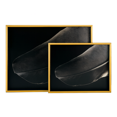 2 Pcs Glass Tray Set – Black Leaf Design with Golden Frame