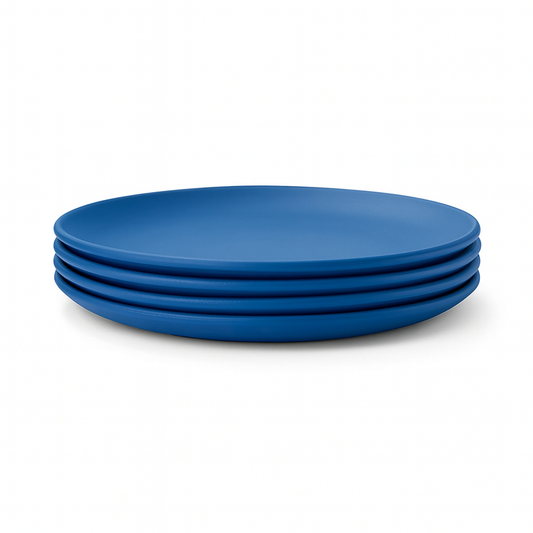 4 Pcs Kleeyo Party Plates Plastic