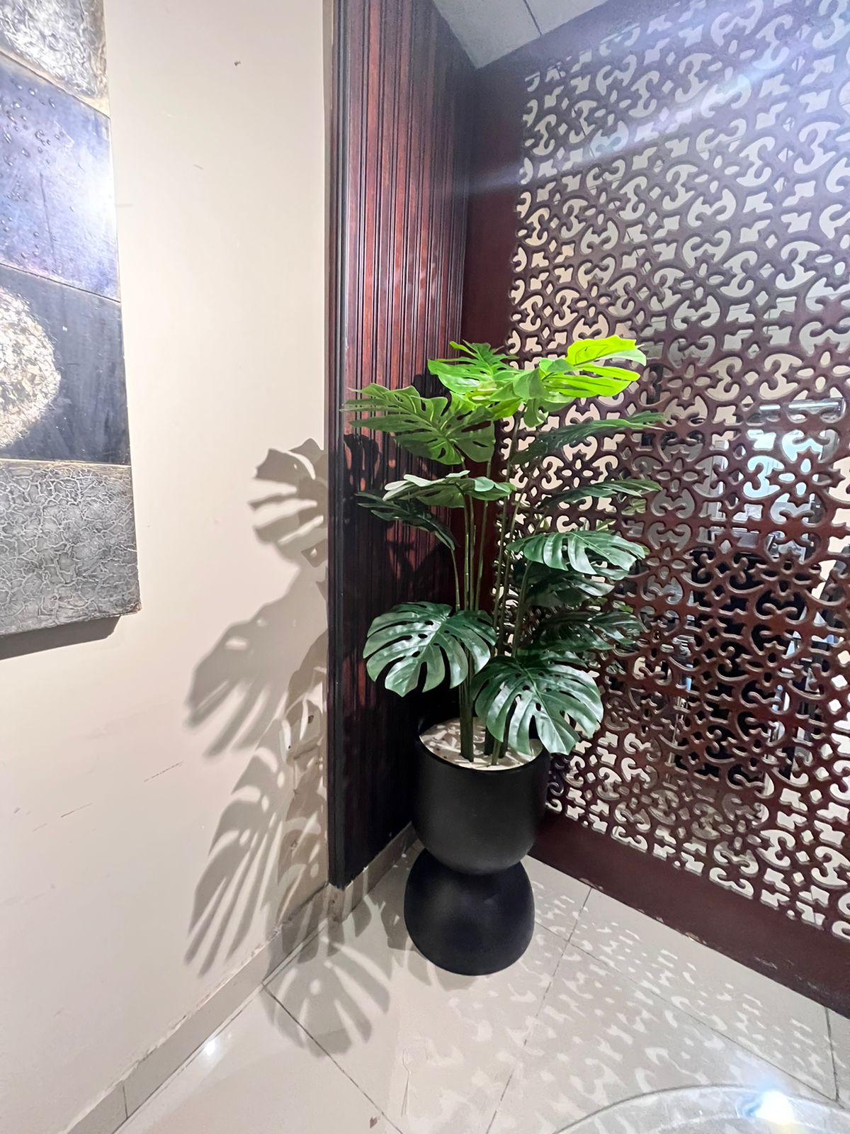 Monstera Plant with Planter