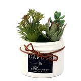 Cactus Plant DU596