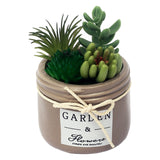 Cactus Plant DU601