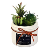 Cactus Plant DU602