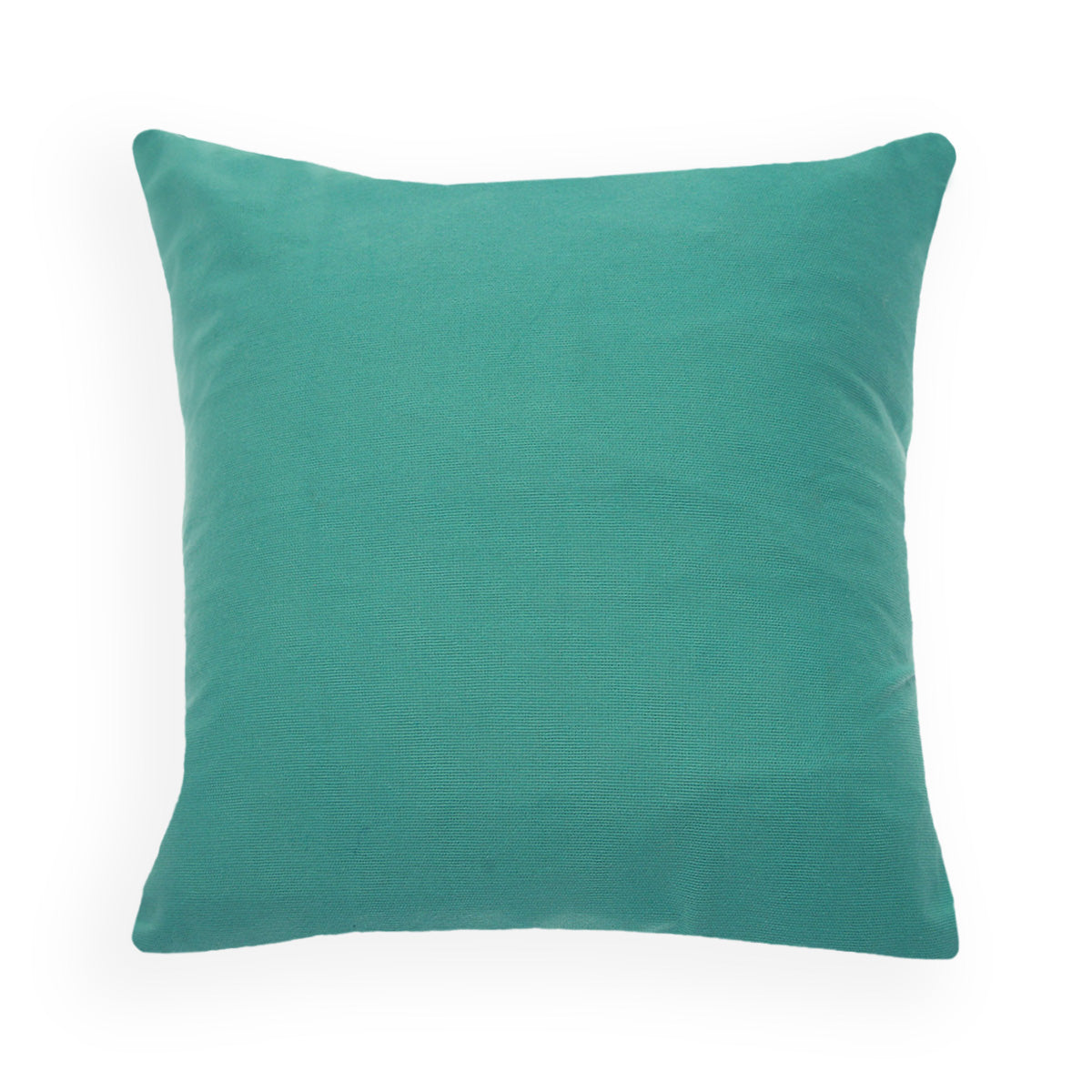 Aqua Plane Cushion Cover 18x18"