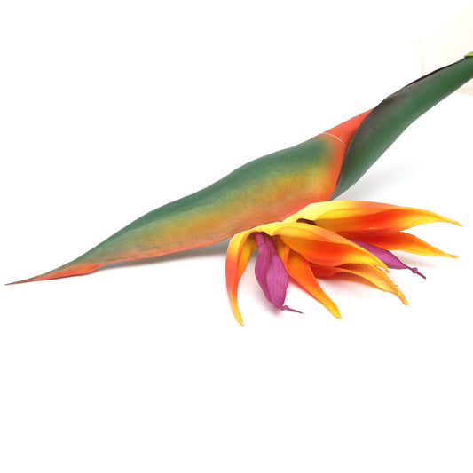 HEAVEN BIRD YELLOW Z-5 - Habitt