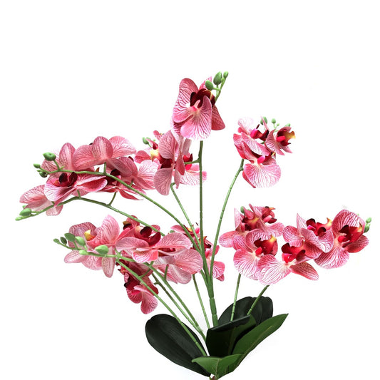 GLUE ORCHID PINK Z-6 - Habitt
