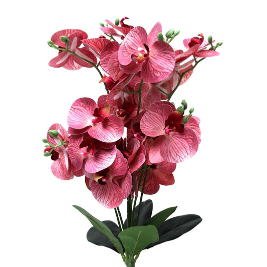 GLUE ORCHID PINK Z-6 - Habitt