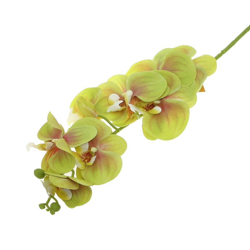 Orchid Flower Stick Nylon+Plastic Multi Oc-01 - Habitt