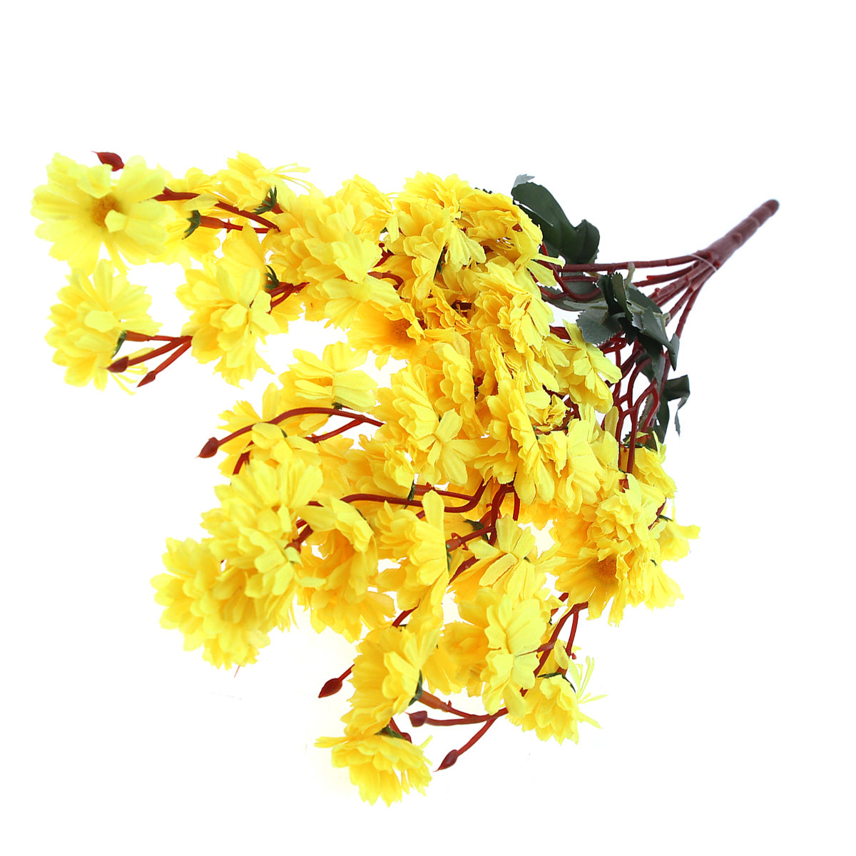 CHINA BUSH.Yellow.16 Inch