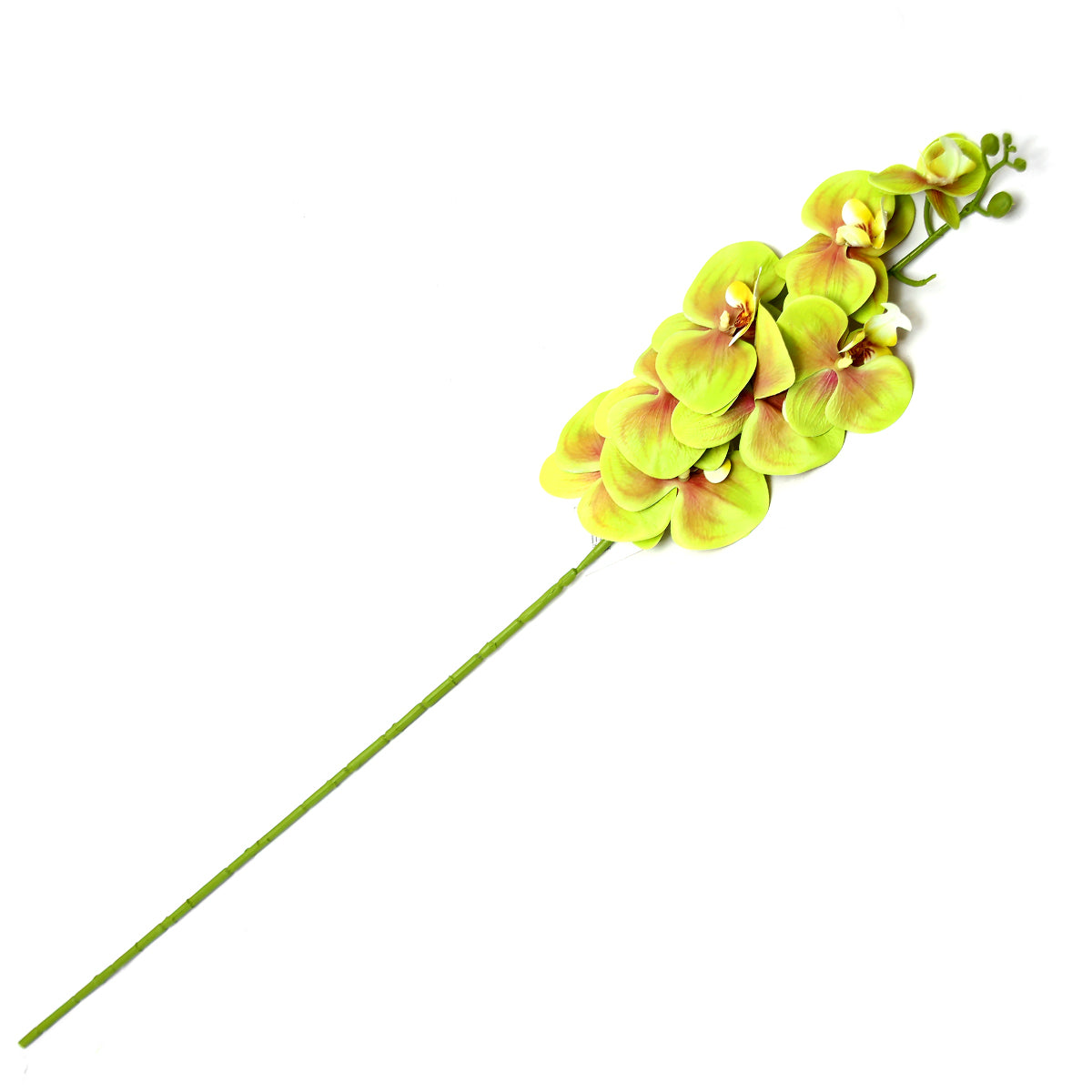 Orchid Flower Stick.34