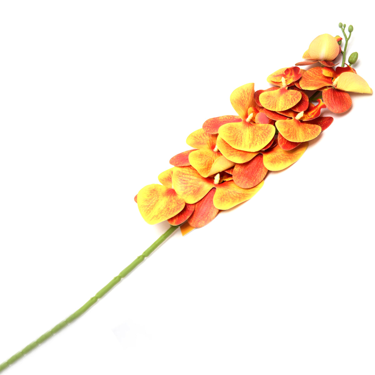 Orchid Flower Stick.34