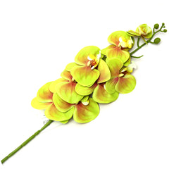 Orchid Flower Stick.34