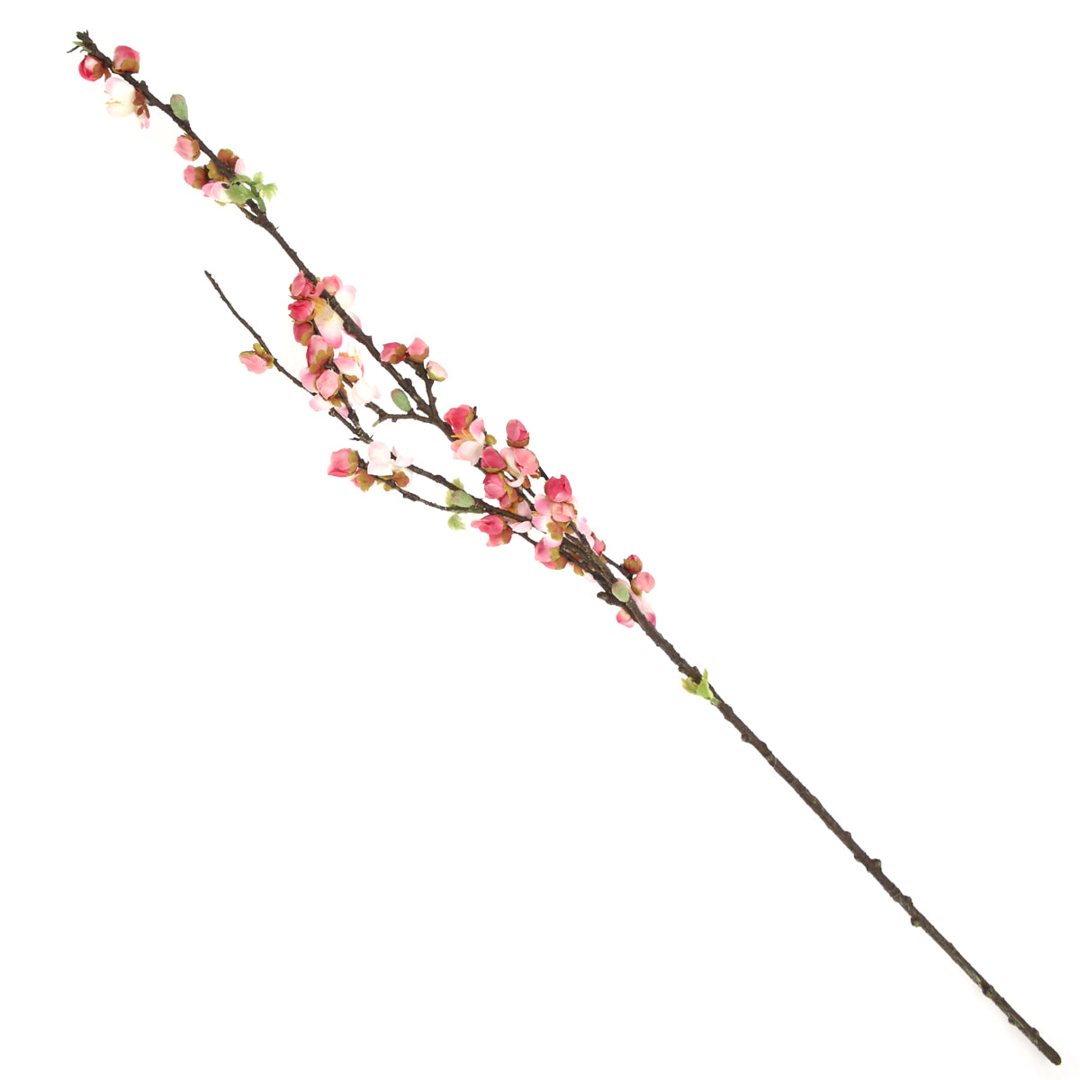 GOLI BLOOM.Pink.22 Inch