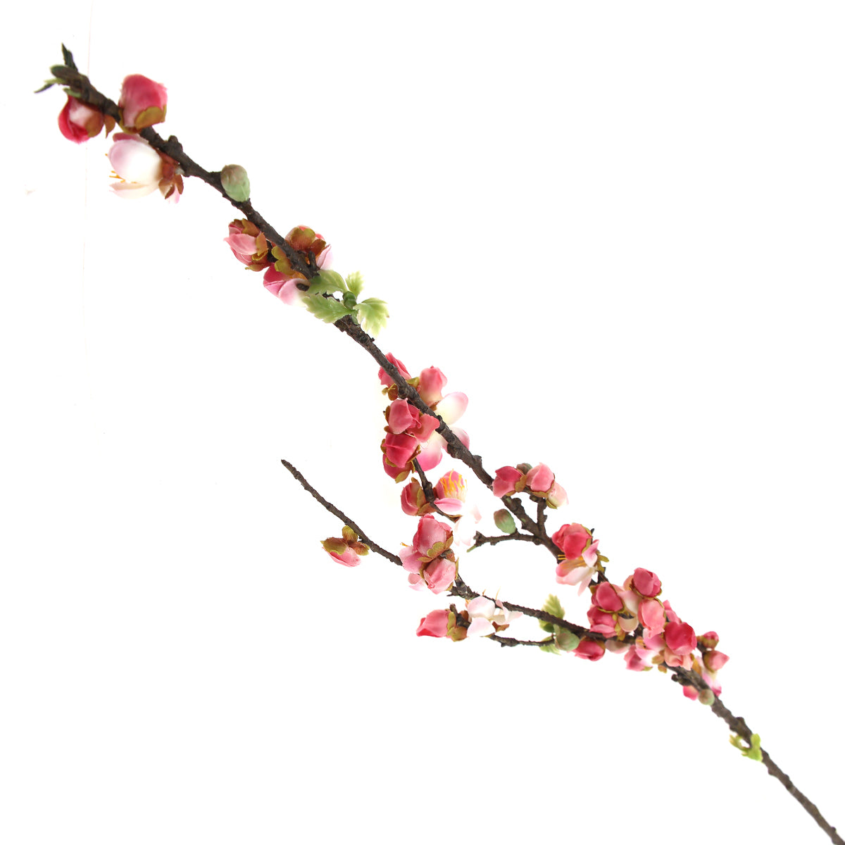 GOLI BLOOM.Pink.22 Inch