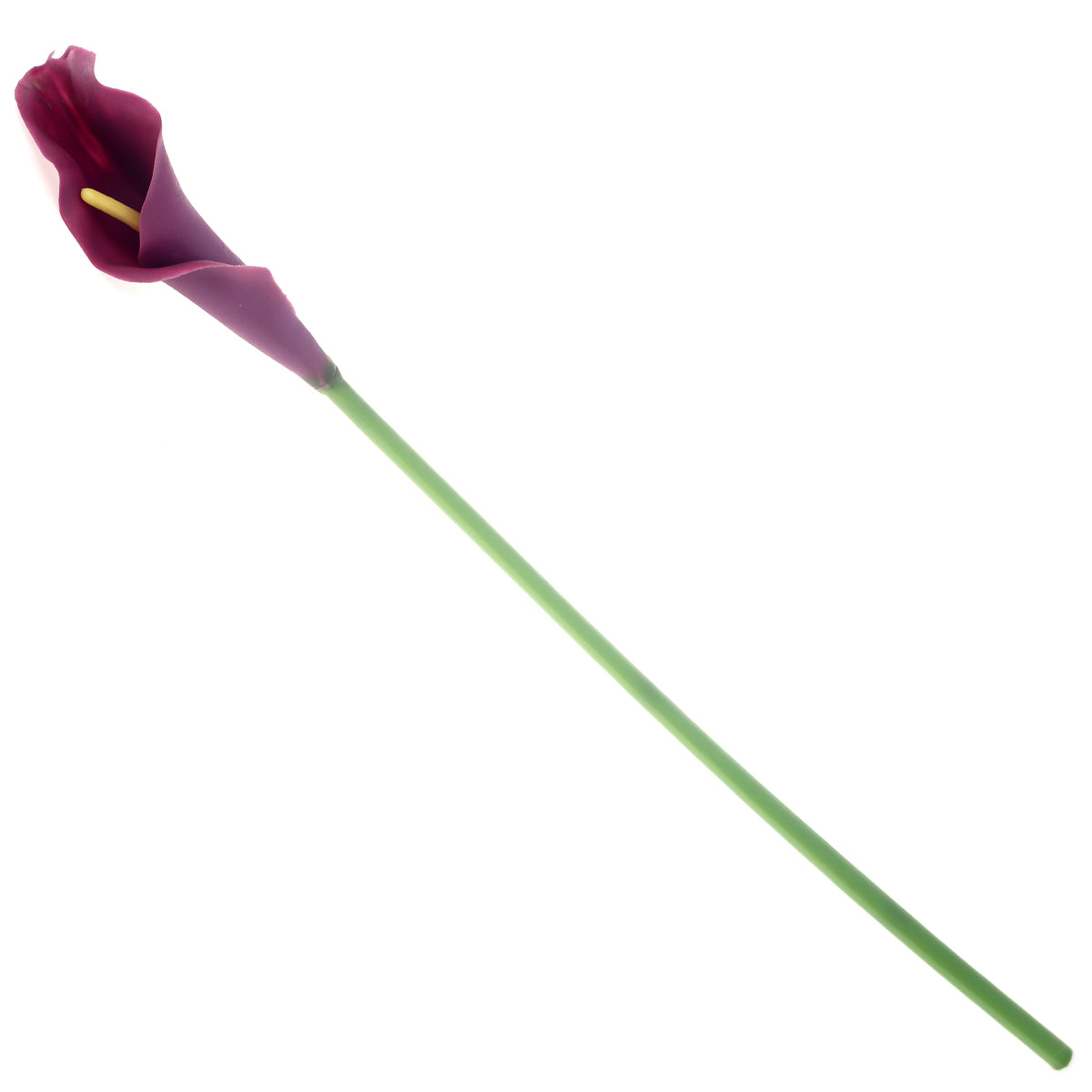 Callalily single flower.Unspecified...21260