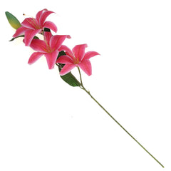 TIGAR LILY.Dark pink.22 Inch