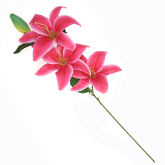 TIGAR LILY.Dark pink.22 Inch