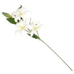 TIGAR LILY.White.22 Inch