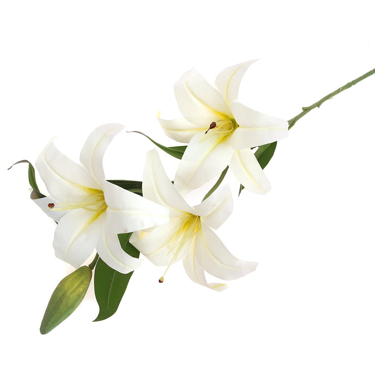 TIGAR LILY.White.22 Inch