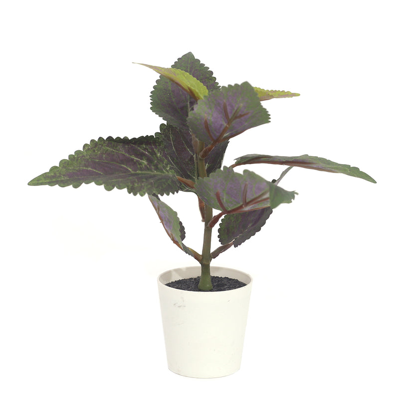 mini purple perilla set.Ceramic...25233/25234/25235 - Habitt
