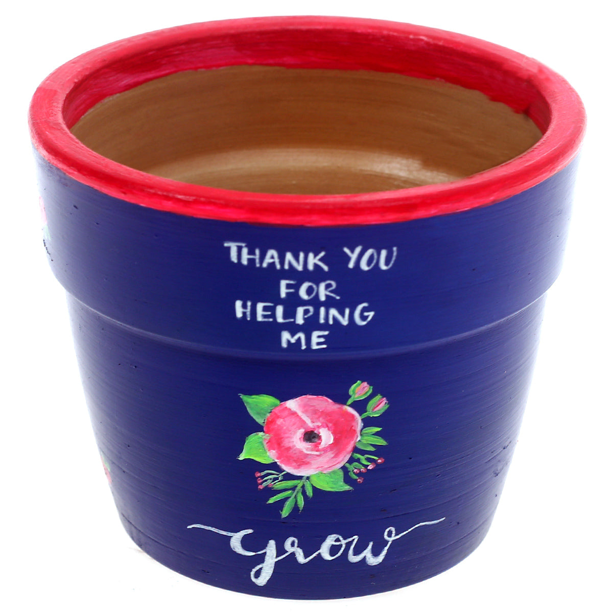 Pot with Plant and Grow Kit Rose Blue