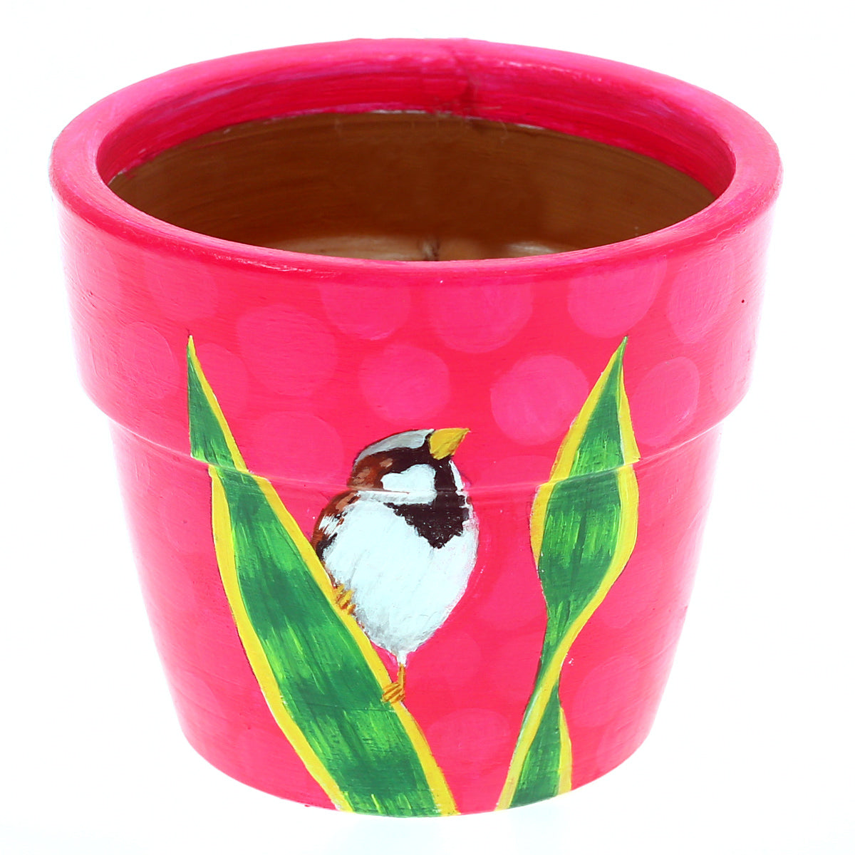 Pot with Plant and Grow Kit Birds Orange