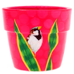 Pot with Plant and Grow Kit Birds Orange