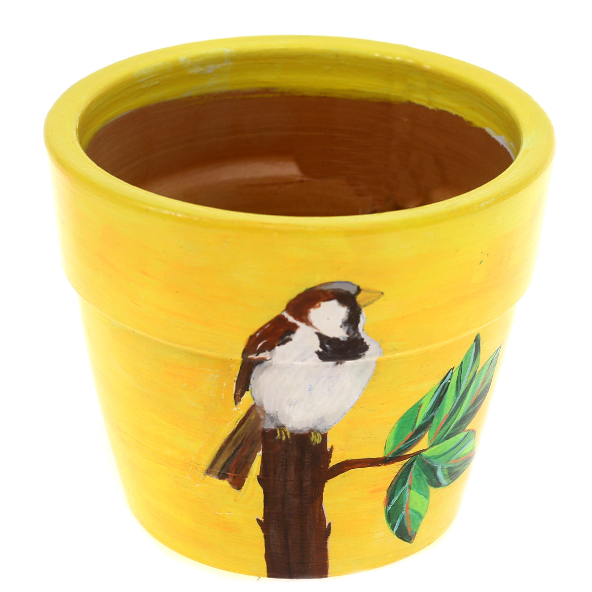 Pot with Plant and Grow Kit Spiro Bird