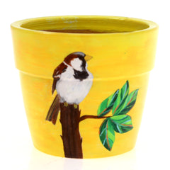 Pot with Plant and Grow Kit Spiro Bird