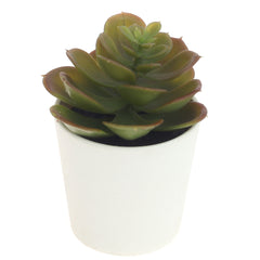 small plant pot .21244/21245/21246