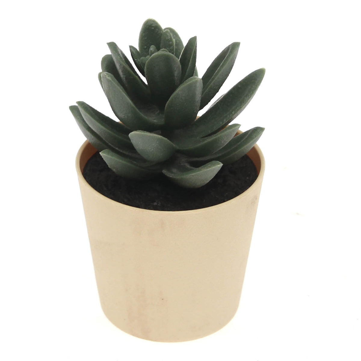 Artificial Succulent Plant in Light Yellow Pot – Modern Decorative Accent - Habitt