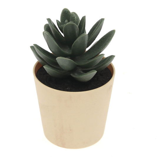 Artificial Succulent Plant in Light Yellow Pot – Modern Decorative Accent - Habitt