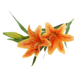 Flower Orange.Unspecified...Z237-4