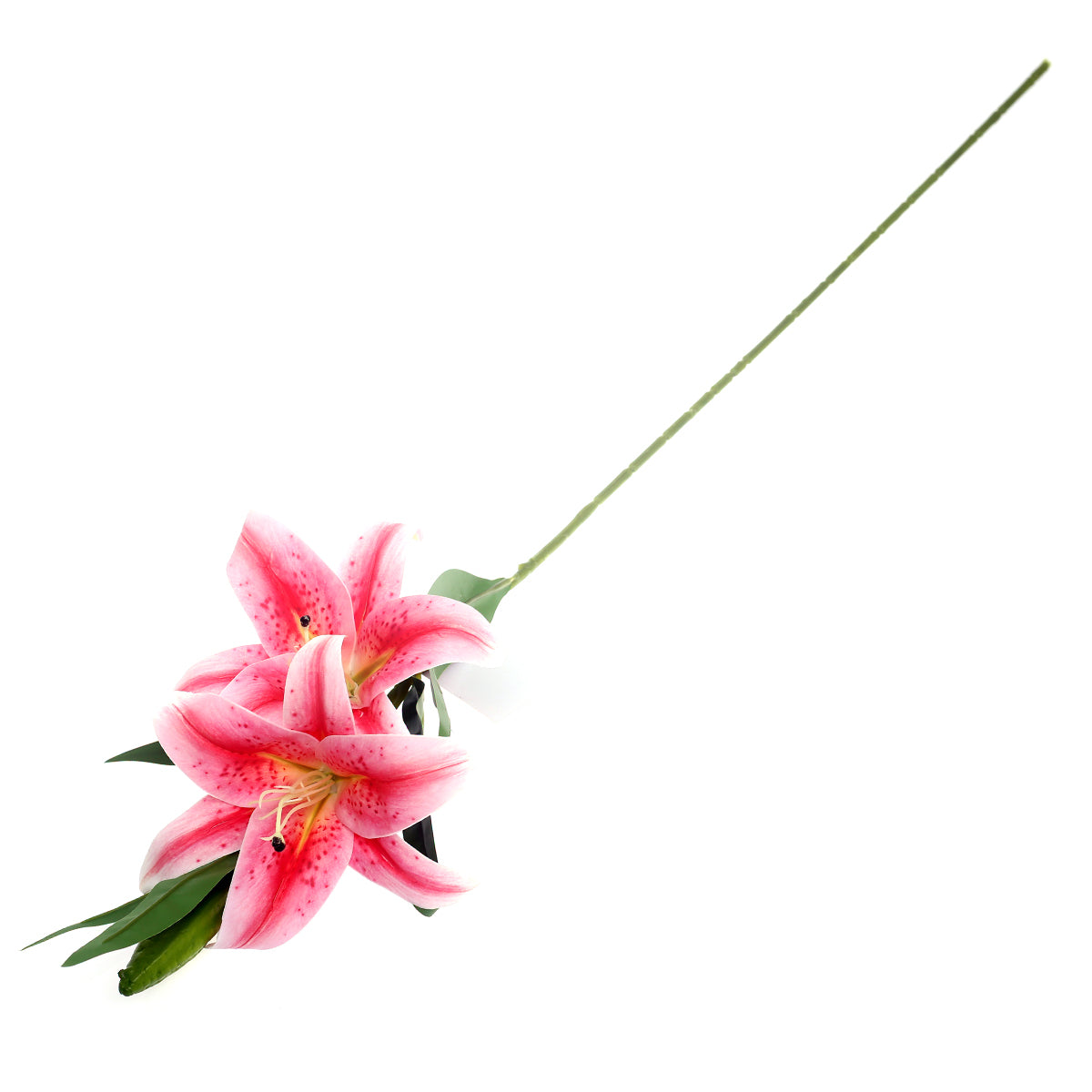 Flower Pink.Unspecified...Z237-4