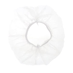 Popular Bear Food Cover