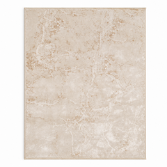 Rugs – 2x4