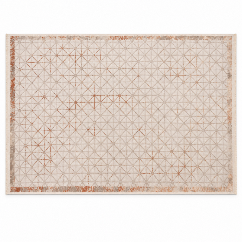 Rugs – Printed 5x8 Ft EB98ATERRA TERRA