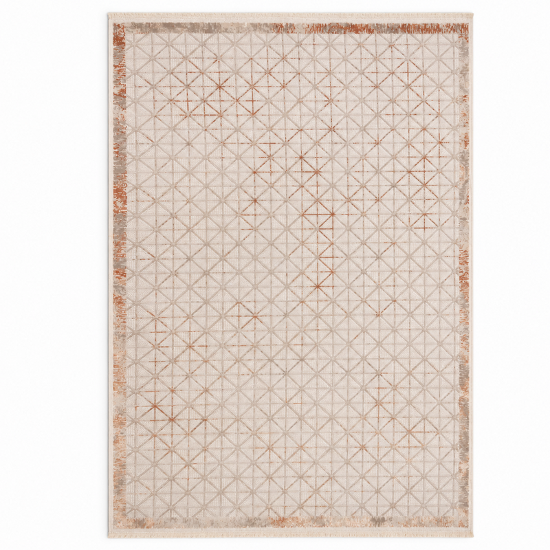 Rugs – Printed 5x8 Ft EB98ATERRA TERRA
