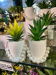 Pearls Ceramic Succulents