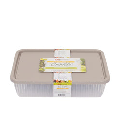1pc Crinkle Container Large (Assorted) – 1650 ml BPA Storage Box