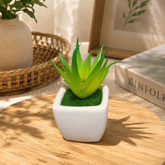 Mini Artificial Decorative Plant