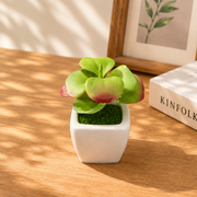 Mini Artificial Decorative Plant - Assorted