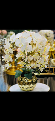 beautiful white orchid with golden ceramic pot  