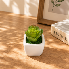 Mini Artificial Decorative Plant - Assorted