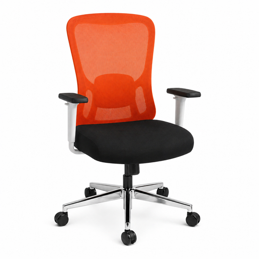 Dious Low-Back Ergonomic Mesh Office Chair – 640W x 585D x 960H Breathable Executive Task Chair with Lumbar Support - Habitt